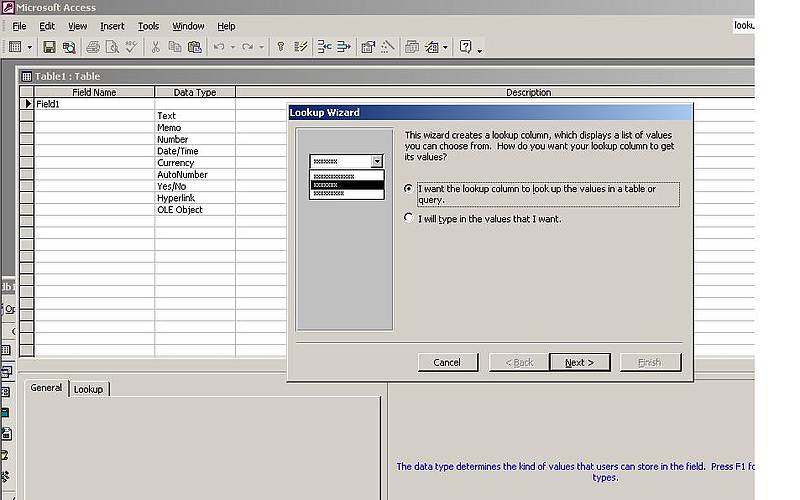 MS Access Datenfeld-Typen: Nachschlage-Assistent